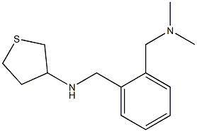 N-({2-[(dimethylamino)methyl]phenyl}methyl)thiolan-3-amine 结构式