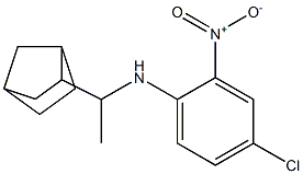 N-(1-{bicyclo[2.2.1]heptan-2-yl}ethyl)-4-chloro-2-nitroaniline 结构式