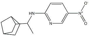 N-(1-{bicyclo[2.2.1]heptan-2-yl}ethyl)-5-nitropyridin-2-amine 结构式