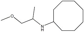 N-(1-methoxypropan-2-yl)cyclooctanamine 结构式