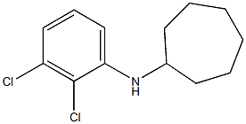 N-(2,3-dichlorophenyl)cycloheptanamine 结构式