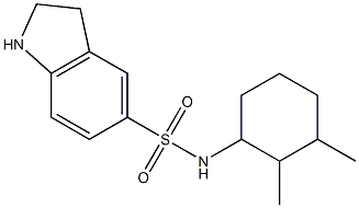 N-(2,3-dimethylcyclohexyl)-2,3-dihydro-1H-indole-5-sulfonamide 结构式