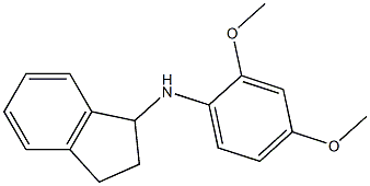 N-(2,4-dimethoxyphenyl)-2,3-dihydro-1H-inden-1-amine 结构式