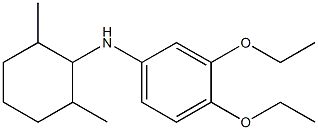 N-(2,6-dimethylcyclohexyl)-3,4-diethoxyaniline 结构式