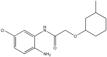 N-(2-amino-5-chlorophenyl)-2-[(3-methylcyclohexyl)oxy]acetamide 结构式