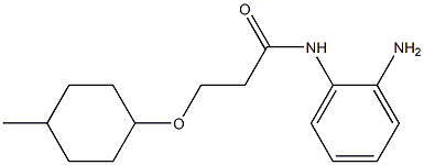 N-(2-aminophenyl)-3-[(4-methylcyclohexyl)oxy]propanamide 结构式