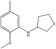 N-(2-methoxy-5-methylphenyl)thiolan-3-amine 结构式