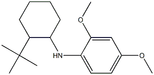 N-(2-tert-butylcyclohexyl)-2,4-dimethoxyaniline 结构式