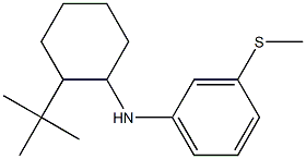 N-(2-tert-butylcyclohexyl)-3-(methylsulfanyl)aniline 结构式