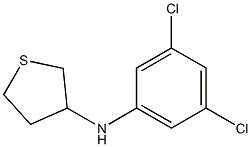 N-(3,5-dichlorophenyl)thiolan-3-amine 结构式