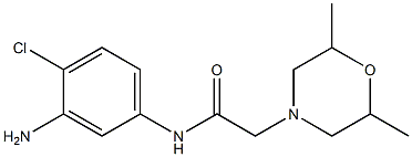 N-(3-amino-4-chlorophenyl)-2-(2,6-dimethylmorpholin-4-yl)acetamide 结构式