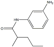 N-(3-aminophenyl)-2-methylpentanamide 结构式