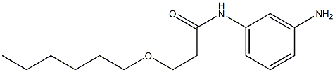 N-(3-aminophenyl)-3-(hexyloxy)propanamide 结构式