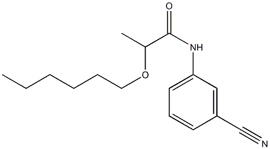 N-(3-cyanophenyl)-2-(hexyloxy)propanamide 结构式