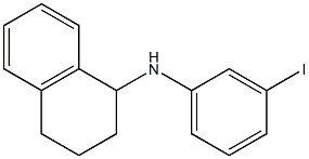 N-(3-iodophenyl)-1,2,3,4-tetrahydronaphthalen-1-amine 结构式