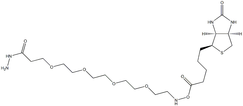 15-Biotinamino-4,7,10,13-tetraoxa-pentadecanoyl hydrazide 结构式