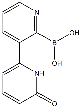 6-(1H-PYRIDIN-2-ONE)PYRIDINE-2-BORONIC ACID 结构式