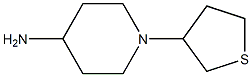 1-(thiolan-3-yl)piperidin-4-amine 结构式