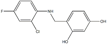 4-{[(2-chloro-4-fluorophenyl)amino]methyl}benzene-1,3-diol 结构式