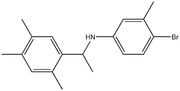 4-bromo-3-methyl-N-[1-(2,4,5-trimethylphenyl)ethyl]aniline 结构式