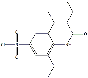 4-butanamido-3,5-diethylbenzene-1-sulfonyl chloride 结构式