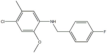 4-chloro-N-[(4-fluorophenyl)methyl]-2-methoxy-5-methylaniline 结构式