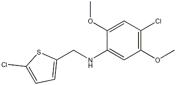 4-chloro-N-[(5-chlorothiophen-2-yl)methyl]-2,5-dimethoxyaniline 结构式