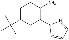 4-tert-butyl-2-(1H-pyrazol-1-yl)cyclohexanamine 结构式