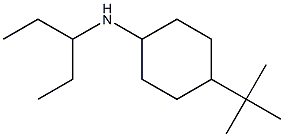 4-tert-butyl-N-(pentan-3-yl)cyclohexan-1-amine 结构式