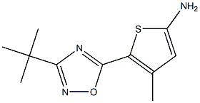 5-(3-tert-butyl-1,2,4-oxadiazol-5-yl)-4-methylthiophen-2-amine 结构式