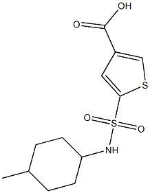 5-[(4-methylcyclohexyl)sulfamoyl]thiophene-3-carboxylic acid 结构式