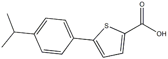 5-[4-(propan-2-yl)phenyl]thiophene-2-carboxylic acid 结构式