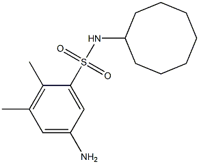 5-amino-N-cyclooctyl-2,3-dimethylbenzene-1-sulfonamide 结构式