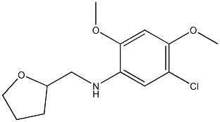 5-chloro-2,4-dimethoxy-N-(oxolan-2-ylmethyl)aniline 结构式