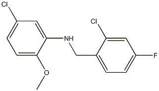 5-chloro-N-[(2-chloro-4-fluorophenyl)methyl]-2-methoxyaniline 结构式