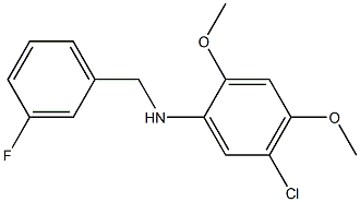 5-chloro-N-[(3-fluorophenyl)methyl]-2,4-dimethoxyaniline 结构式