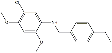 5-chloro-N-[(4-ethylphenyl)methyl]-2,4-dimethoxyaniline 结构式