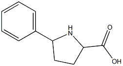 5-phenylpyrrolidine-2-carboxylic acid 结构式
