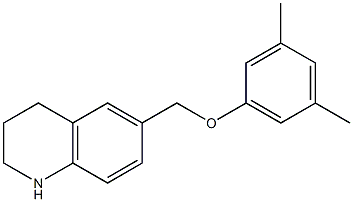 6-(3,5-dimethylphenoxymethyl)-1,2,3,4-tetrahydroquinoline 结构式