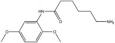 6-amino-N-(2,5-dimethoxyphenyl)hexanamide 结构式