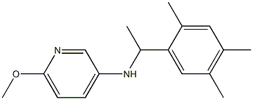 6-methoxy-N-[1-(2,4,5-trimethylphenyl)ethyl]pyridin-3-amine 结构式