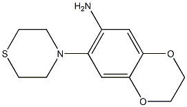 7-(thiomorpholin-4-yl)-2,3-dihydro-1,4-benzodioxin-6-amine 结构式