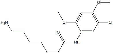 7-amino-N-(5-chloro-2,4-dimethoxyphenyl)heptanamide 结构式