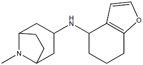 8-methyl-N-(4,5,6,7-tetrahydro-1-benzofuran-4-yl)-8-azabicyclo[3.2.1]octan-3-amine 结构式