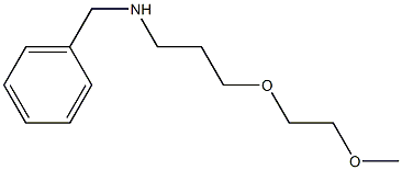 benzyl[3-(2-methoxyethoxy)propyl]amine 结构式