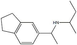 butan-2-yl[1-(2,3-dihydro-1H-inden-5-yl)ethyl]amine 结构式