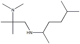 dimethyl({2-methyl-1-[(5-methylhexan-2-yl)amino]propan-2-yl})amine 结构式