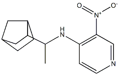 N-(1-{bicyclo[2.2.1]heptan-2-yl}ethyl)-3-nitropyridin-4-amine 结构式