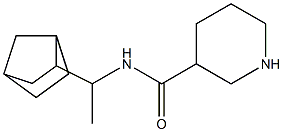 N-(1-{bicyclo[2.2.1]heptan-2-yl}ethyl)piperidine-3-carboxamide 结构式