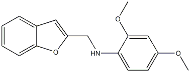 N-(1-benzofuran-2-ylmethyl)-2,4-dimethoxyaniline 结构式